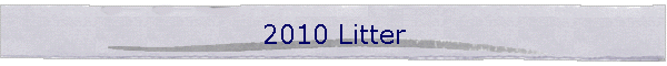 2010 Litter