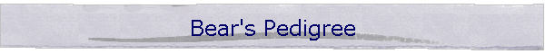 Bear's Pedigree