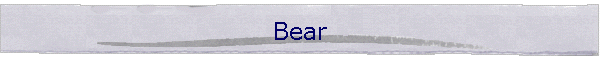 Bear