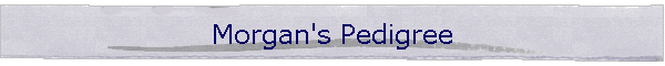 Morgan's Pedigree