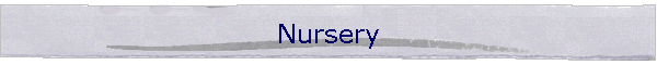 Nursery