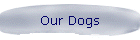 Our Dogs